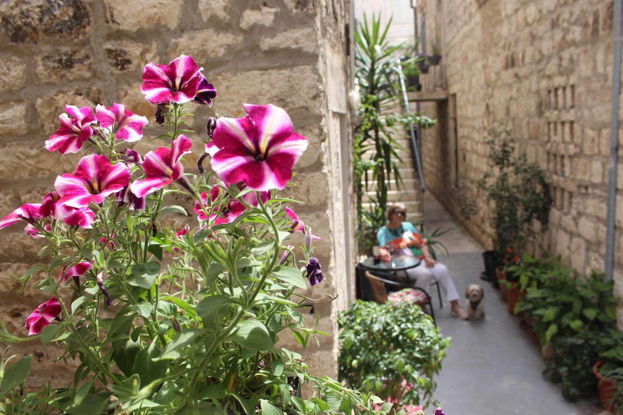 Street Garden Apartment 赫瓦尔 外观 照片