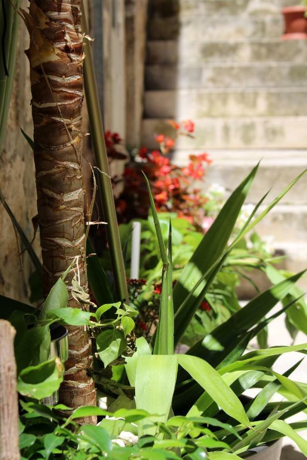 Street Garden Apartment 赫瓦尔 外观 照片